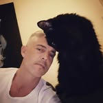 Paul Williams Ferns - @paulwilliamsferns - Instagram