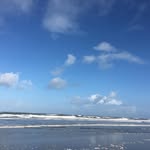 @paulwillmann2020 - Instagram