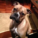 Paul Windebank - @paul_bdw - Instagram