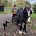 Paul Windsor - Facebook