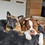 PSM - @paul___wineguy - Instagram