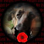 Paul Wingard - Facebook
