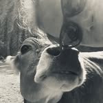 Matthias Paul Winger - @matthiaspaulwinger4 - Instagram