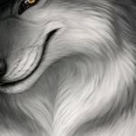 Paul.Winterstein - @wintersteinpaul740 - Instagram