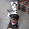 paulwitkowski606 - @paulwitkowski606 - TikTok