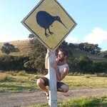 Paul Wolfman - @wolfmanp - Instagram