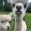 Paul Wordley - @paul.wordley - TikTok