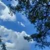 Paul Works - @paul.works5 - TikTok