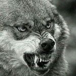 Paul Worthy - @worthy1027 - Instagram