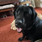 Paul Wulff - @themrwulff12 - Instagram