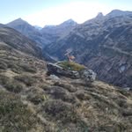 Paul Wyss - @paulwyss - Instagram