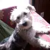 Paul Yarger Ohio - @paulyarger479 - TikTok