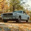Paul Yount - @paul.yount5 - TikTok
