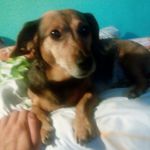 Paul Zech - @zechp - Instagram
