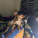 Paula Adkins - @pypujol - Instagram