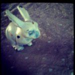 Paula Adkins - @adkins8548 - Instagram