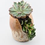Paula Adkins - @paula_adkins_ceramics - Instagram