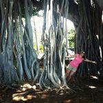Paula Hoyt Arrigo - @parrigo27 - Instagram