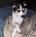 Paula Ayers - Facebook