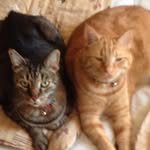Paula Bäckman - @backman34 - Instagram