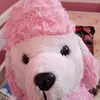 Paula Bain - @kayla2420 - TikTok