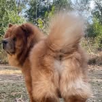 Paula Barlow - @suitcase_b_jones - Instagram