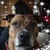 Paula Barlow - Facebook