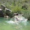 Paula Barona - @paulakala86 - TikTok