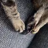 Paula Bartels - @paula11maxi11 - TikTok