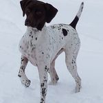 Paula Baumgartner - @mkbaumgartner6 - Instagram