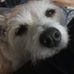 Paula Beal - Facebook