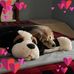 Paula Beasley - Facebook