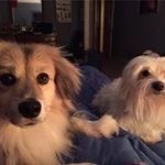 Paula Beasley - @auntiepaula821 - Instagram