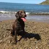 Paula Bedford - @paulabedford175 - TikTok