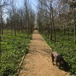 Paula Bedford - @pmbed27 - Instagram