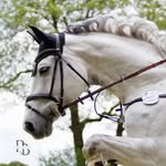 Paula Bender - @paulabender.photography - Instagram