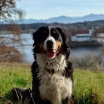 @paula.berner.sennen - Instagram