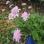 Paula Berner-Winterhalder - @paula_impark - Instagram