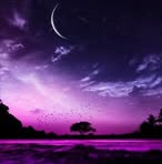 Paula Bess - Facebook