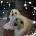 Paula Bias - Facebook