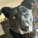 Paula Blades - @paulablades - Instagram