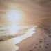 Paula Blaney - Facebook