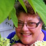 Paula Burks-Blount - @burksblount - Instagram