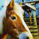 Paula Bock - @bock5008 - Instagram