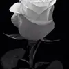 Paula Bode - @paula.bode7 - TikTok