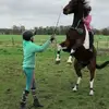 PaulaBodnar - @20082002200820022008 - TikTok