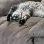 Paula Borland - @paula.borland.7 - Instagram