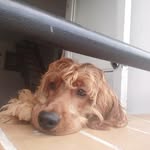 paula botero - @botero7190 - Instagram
