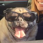 Paula Boyle - @paulaboylephoto - Instagram