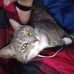 Paula Boyle - @paula_lynn1953 - Instagram